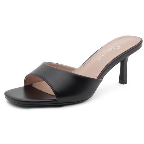 31hD0asp8tL.jpg Women's Low Heels Stiletto Heeled Slides, Open Toe One Band Slip-On Heeled Mules ?C Dressy Heeled Sandals for Prom, Party Wedding